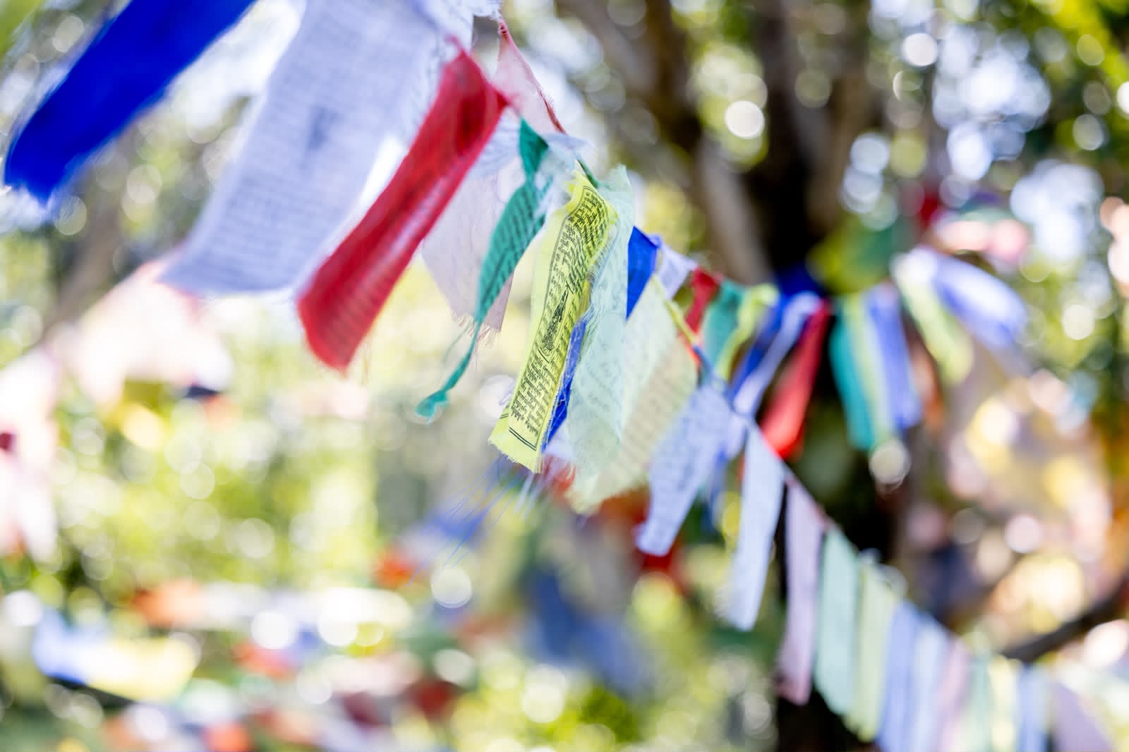 Prayer flags in the breeze at Gold Coast Compassion Day